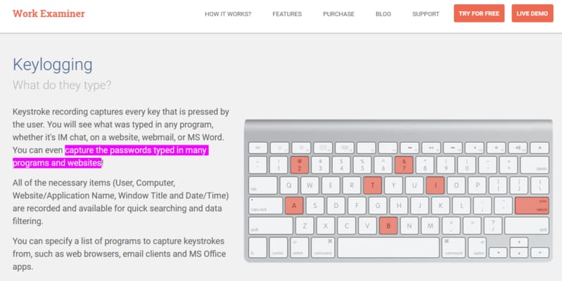 Work Examiner key logging screenshot